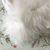 Baby Dior White Silk Party Dress With Marabou Trim